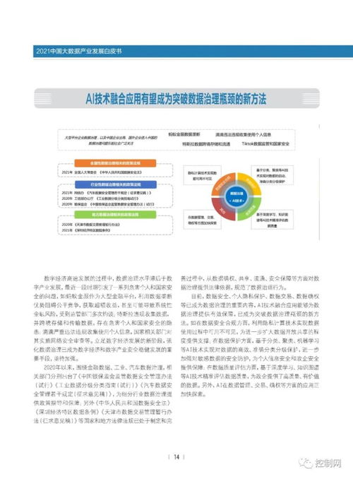 洞見未來 2021中國大數(shù)據(jù)產(chǎn)業(yè)發(fā)展白皮書之基礎(chǔ)軟件服務(wù)深度解析