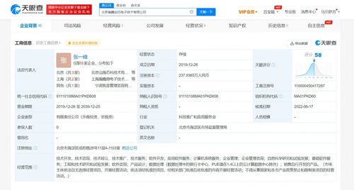 資本布局底層技術 OPPO投資瀚巍創芯，搶灘基礎軟件服務新高地