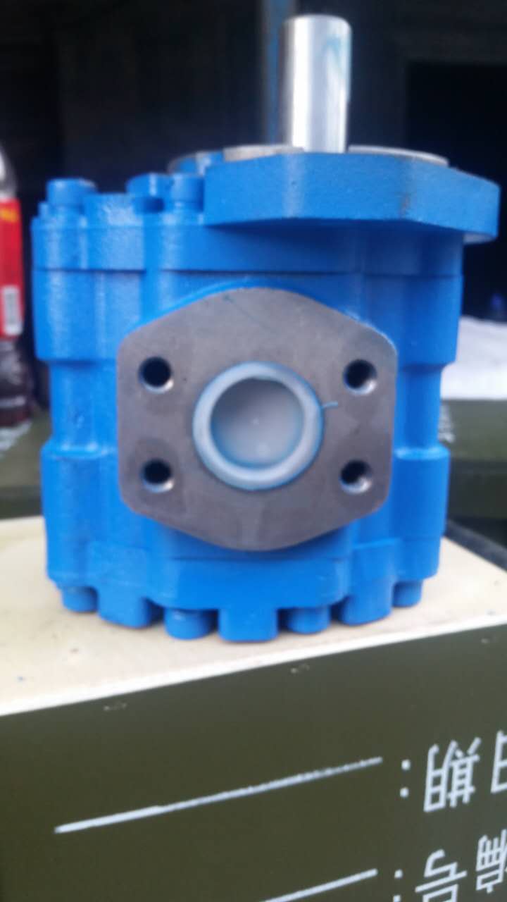 高壓齒輪泵CBG2050 2050 BFX