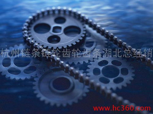 鏈條,鏈輪,齒輪,齒條,聯軸器,傳動件,五金,機電,武漢 杭州鏈條鏈輪齒輪齒條武漢直銷處