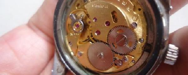 雷達表采用什么機芯